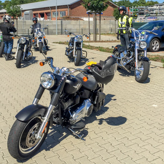 Harleys